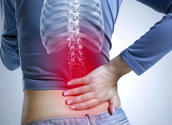 Fundamental Lower back